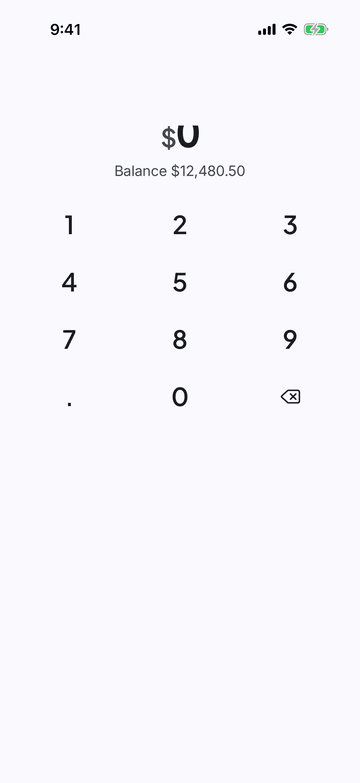 Expressive Money Input on iPhone (iOS simulator)